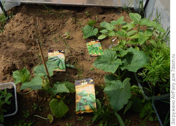 Все в сборе