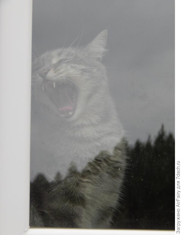 Можем и так