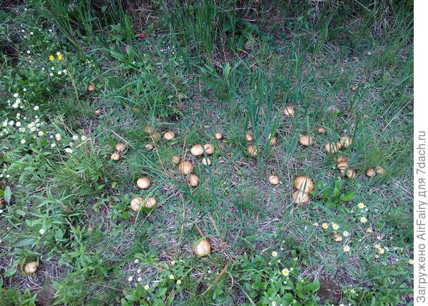 Как будто удивляются, что больно хороши...