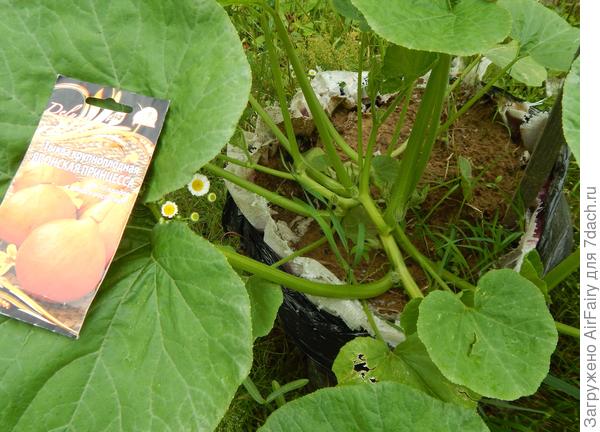 30 июня 2021 г.