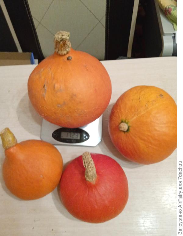 Старший брат: