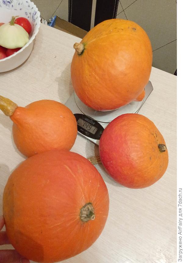 Средний брат: