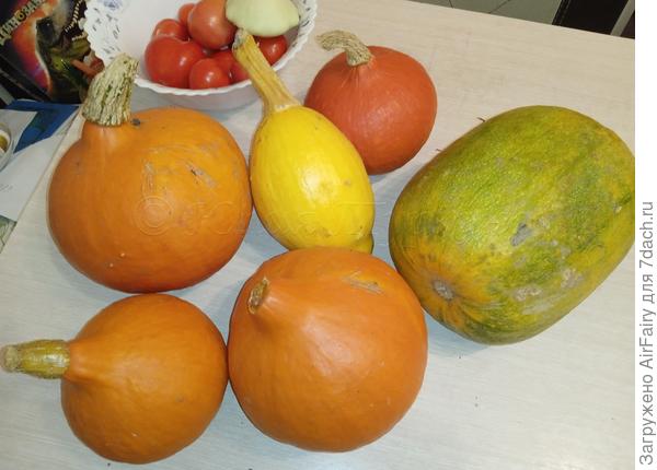 Тыквенный рай