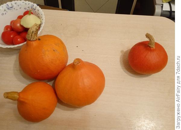 Собранные 15 сентября тыковки