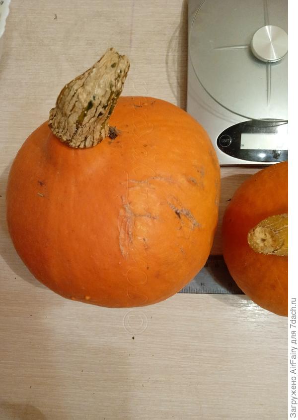 Самый крупный: