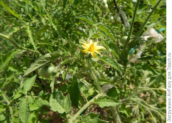 Улыбаемся солнышку)