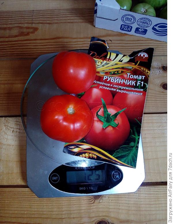 Первый урожай, 16.08.2021