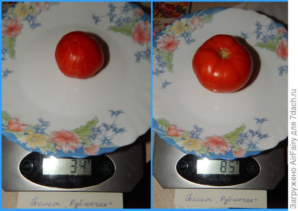 От мала до велика