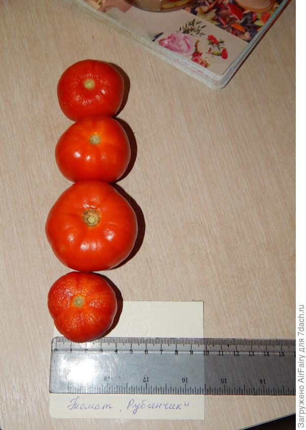 "Рубинчик" в разрезе