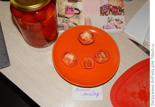 Первая помидорка "Мегадор" в разрезе