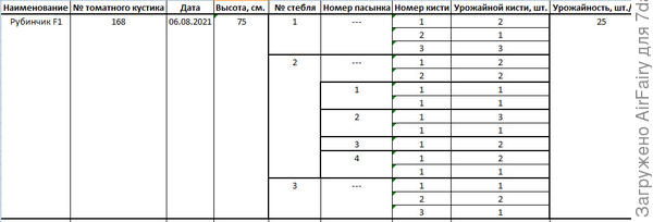 Урожайность 1 куста