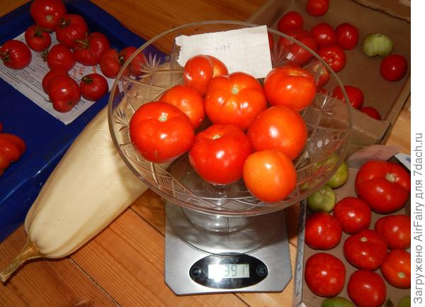 Урожай, 1.09.2021