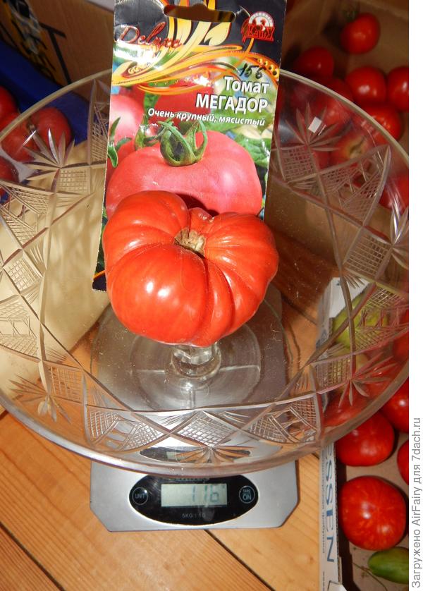 Рекордсмен