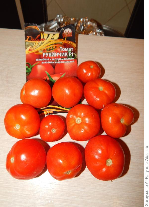 Урожай, 19.09.2021