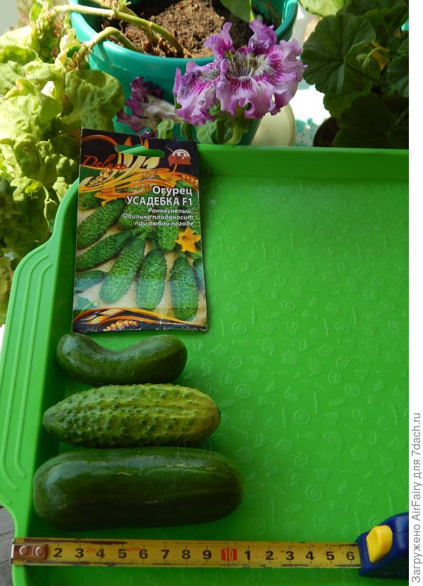 Замеряемся