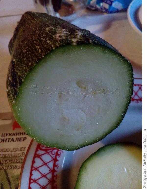Кабачок Грюнталер в разрезе