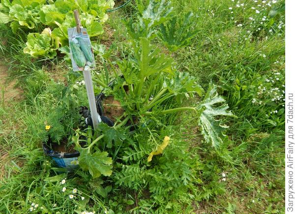 18 июля 2021 г.