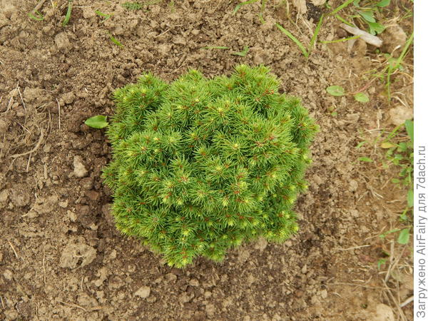 Альберта, сентябрь 2021 г.