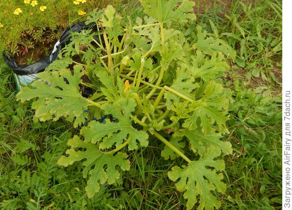 15 сентября 2021 г.