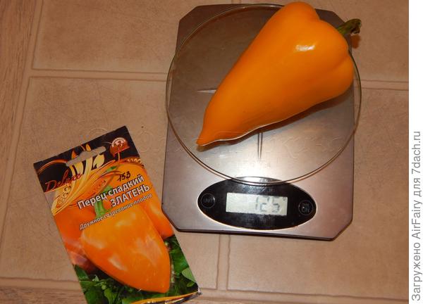 Старший брат