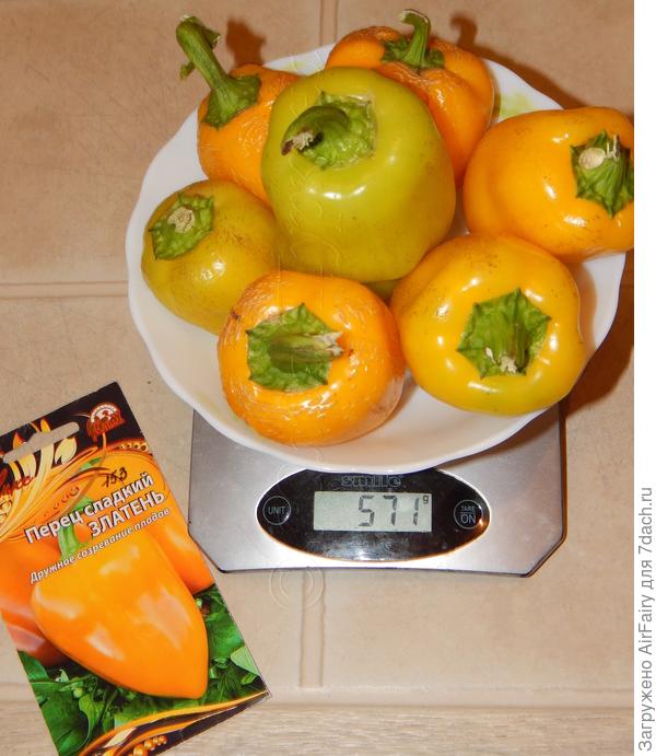 18 сентября 2021 г.