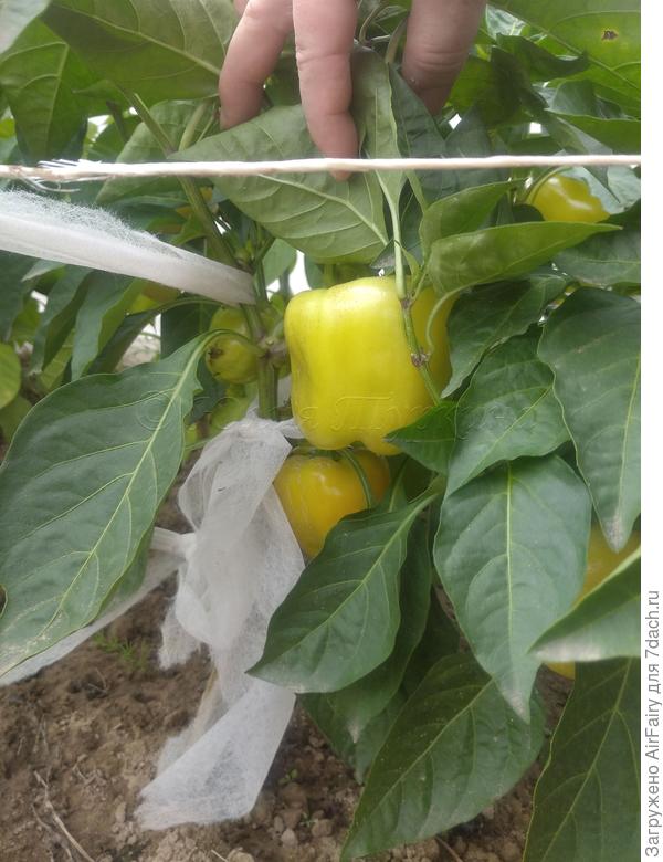 8 сентября 2021 г.