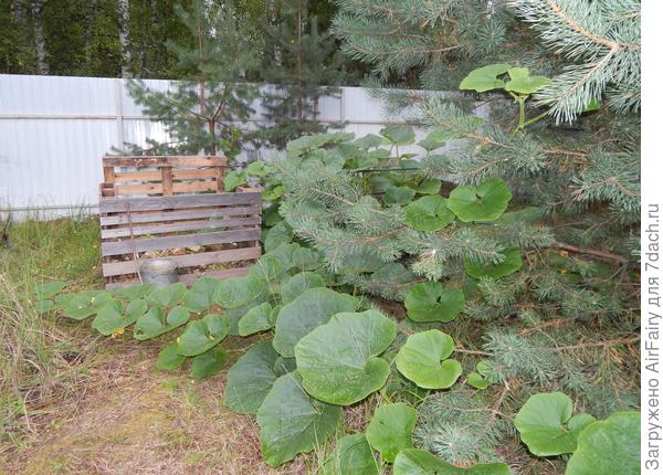 26 августа 2021 г.