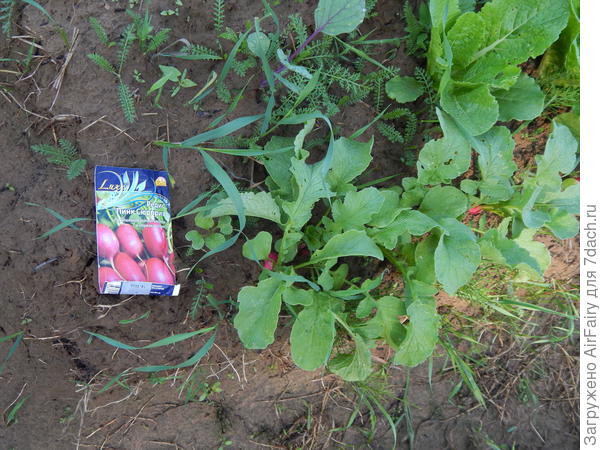 24 июня 2021 г.