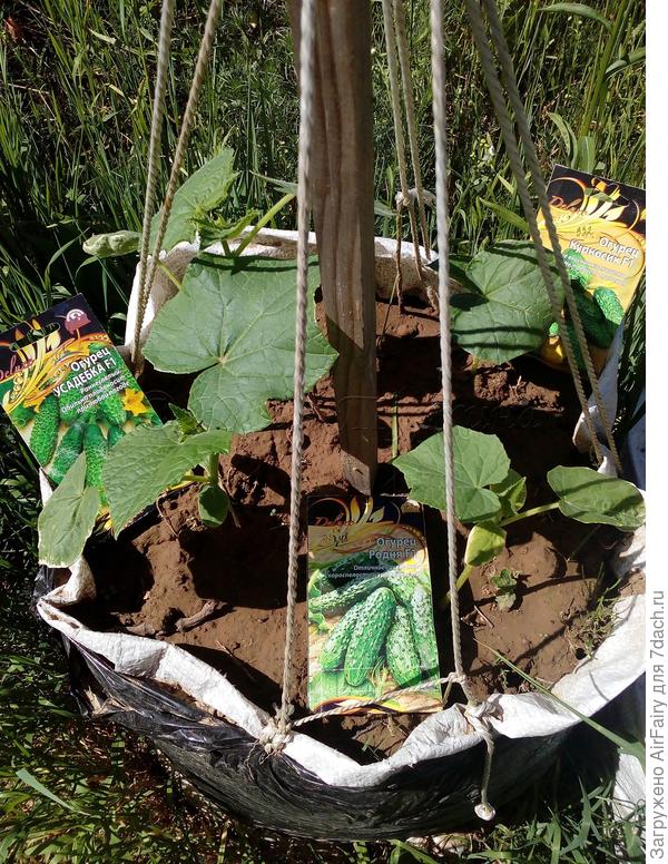 20 июня 2021 г.