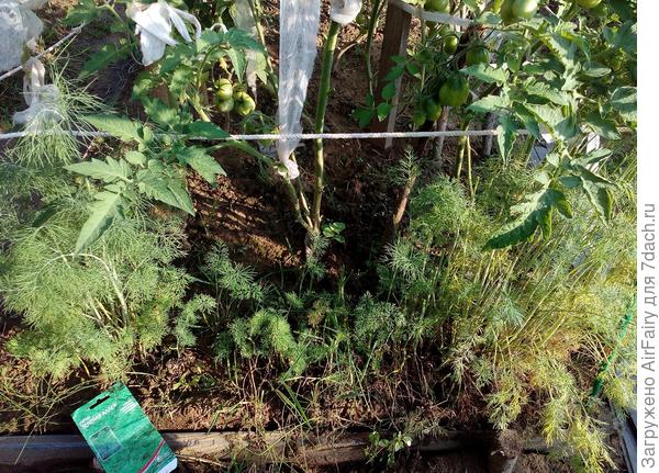 9 августа 2021 г.