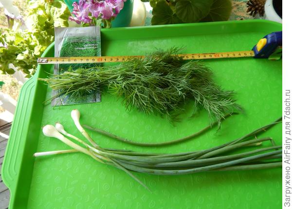 Замеряемся