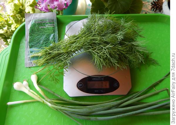 Первая зелень, 17 июля 2021 г.