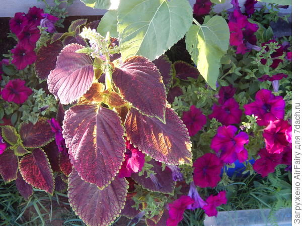 Это второй:-)