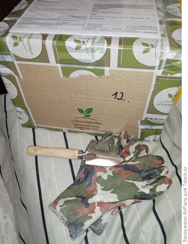 Заветная посылочка