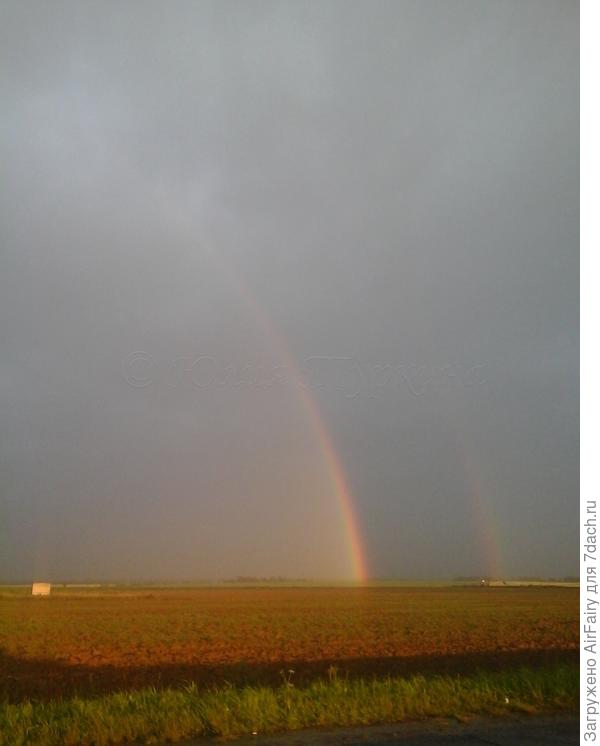 Двойная радуга в полях