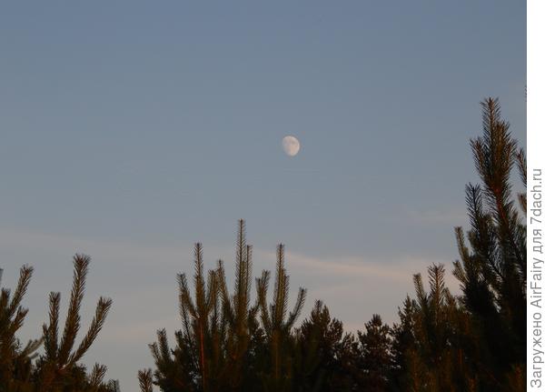 В начале лета Луна встречается с Солнцем