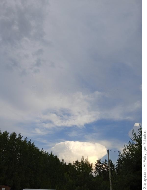 Облачный гриб