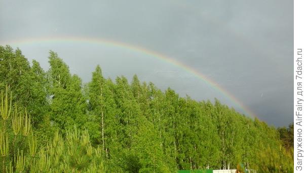 Радужная роща