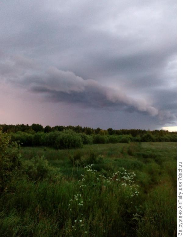 Грозовой фронт