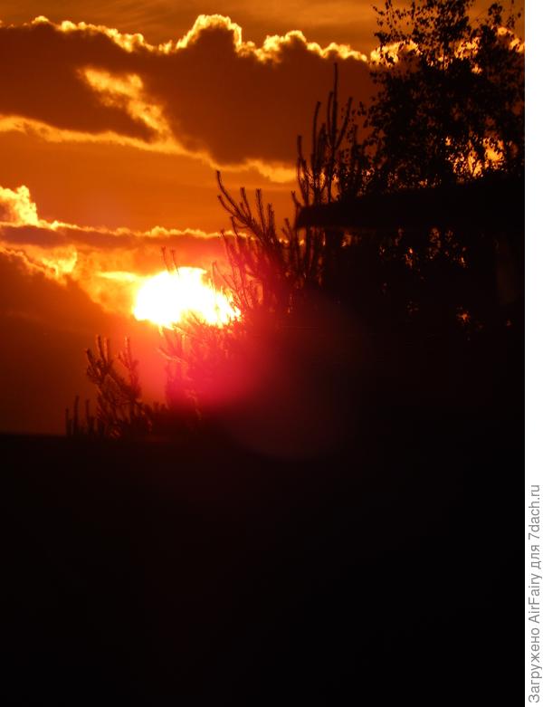 Пушистая дымка заката
