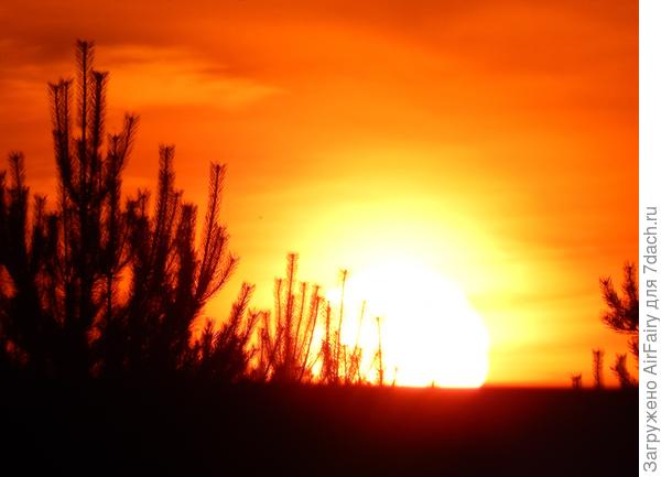 Белое солнце равнины