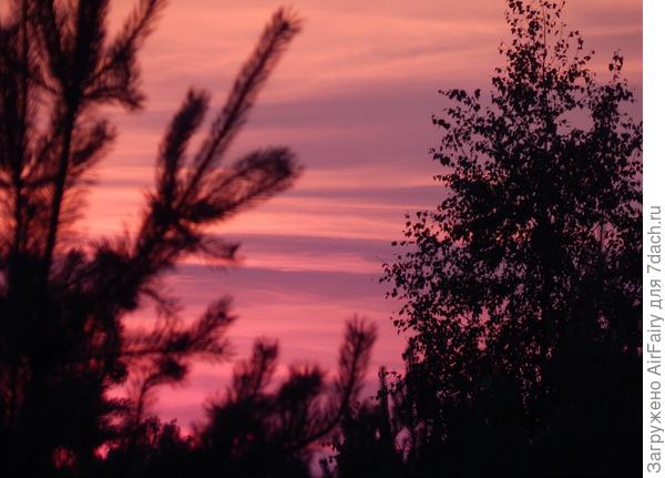 Лавандовый закат