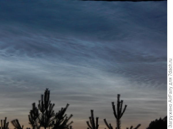 Серебристая вуаль ночи