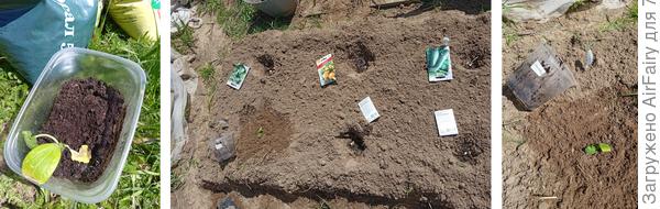 "Стахановец" (ВХ-1/2), 10 июня