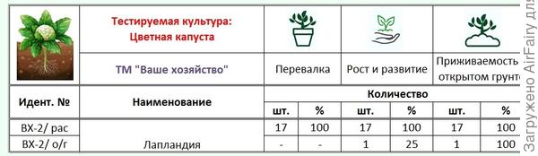 Итоги второго этапа