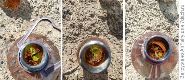 10 июля (спустя 9 дней после высадки)