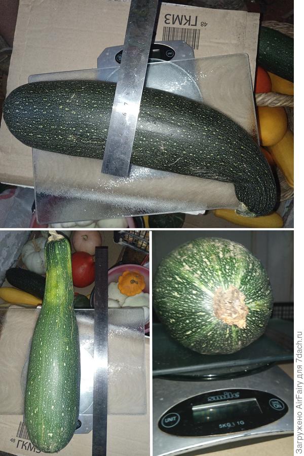 Замеряемся