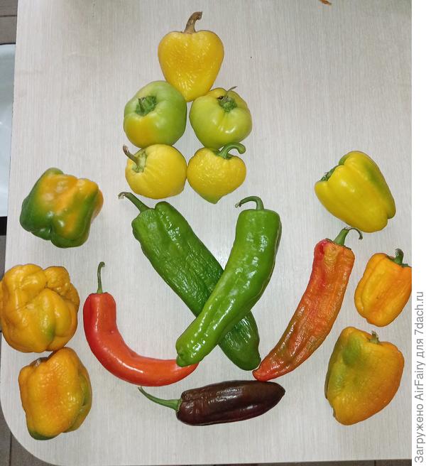 вфыцва ЯПУКфве