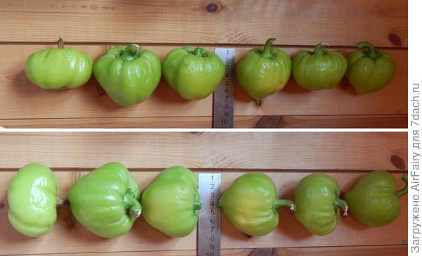 Рассчитались по порядку (первый сбор)