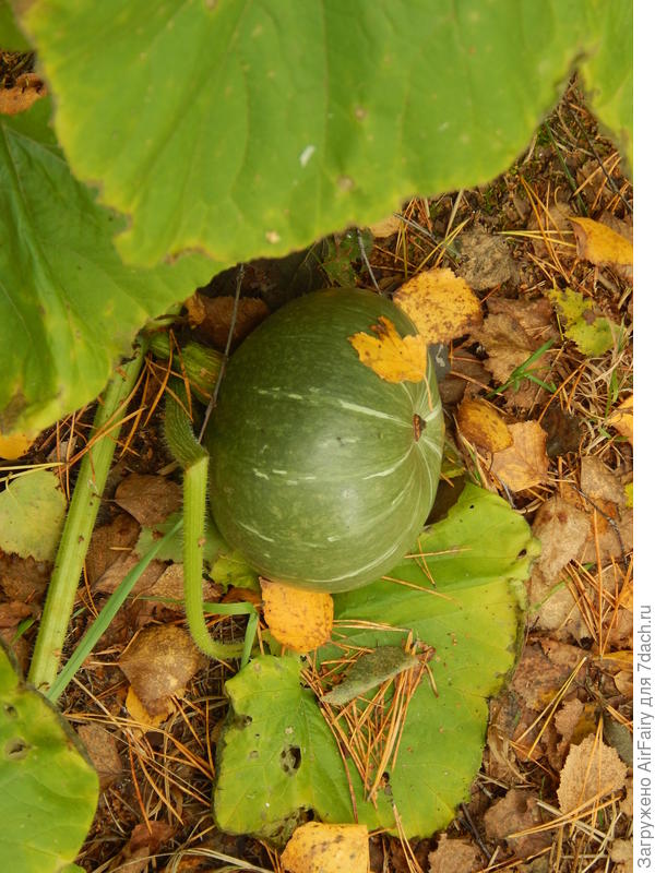 Осенняя магия